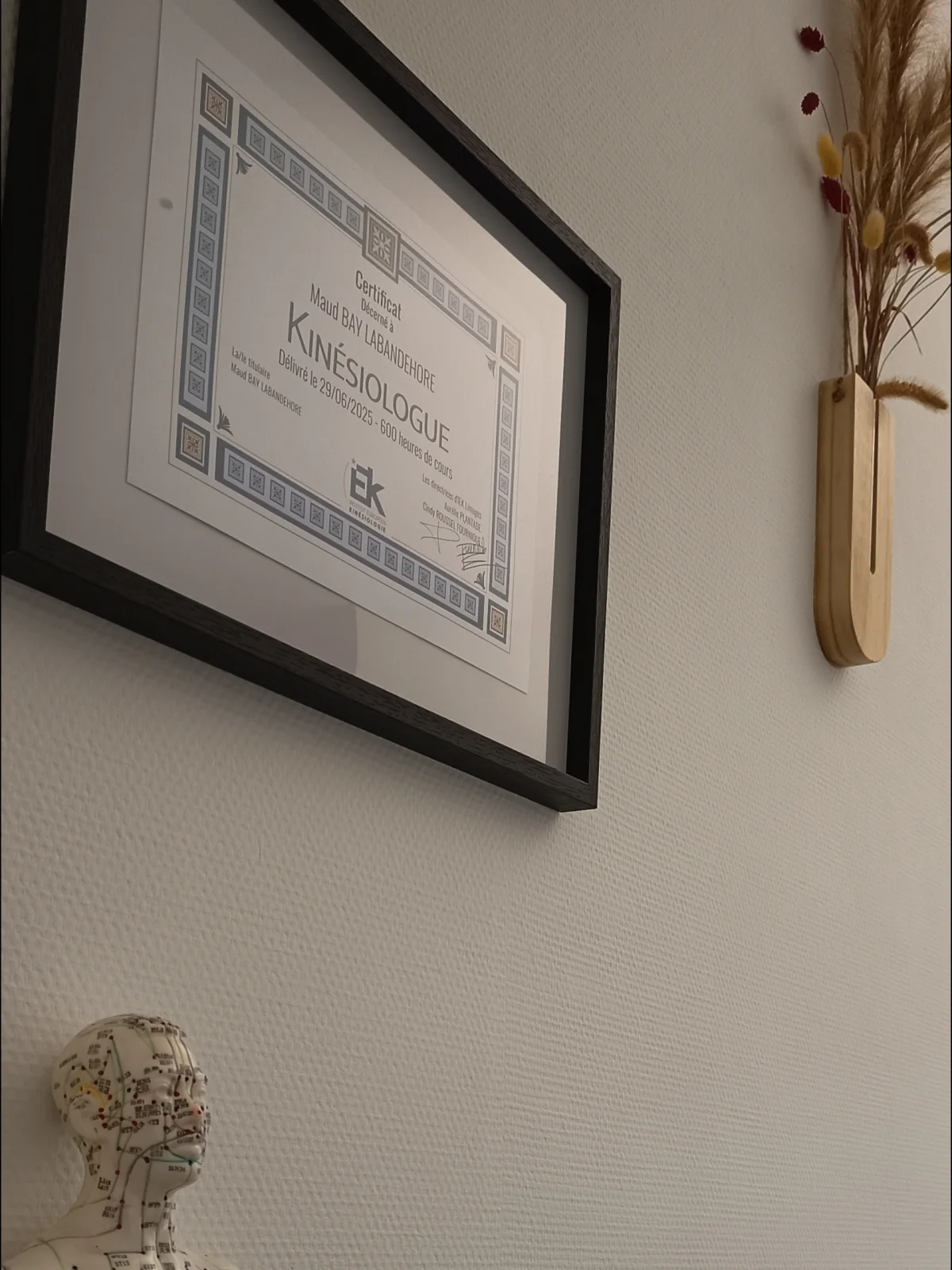 Diplôme de kinésiologie de Maud Bay Labandehore et mannequin des méridiens